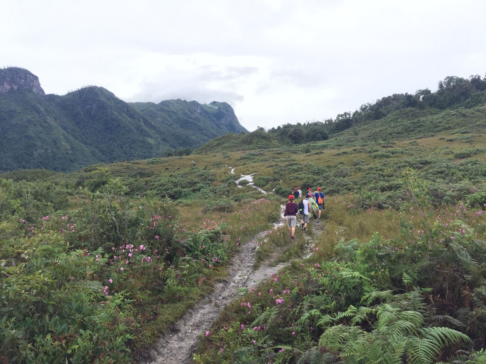 Sapa Trekking Homestay 7 Day Itinerary